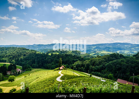 Berühmte herzförmige Wein Straße in Österreich/Slowenien im Sommer, Herz form-herzerl Straße, Weinberge im Sommer, Spicnik Touristen vor Ort Stockfoto