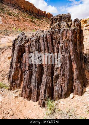 Aufrechte versteinertes Holz Baumstumpf in Wolverine Petrified Forest, Wolverine Creek Trail im Grand Staircase-Escalante National Monument in Utah. Stockfoto