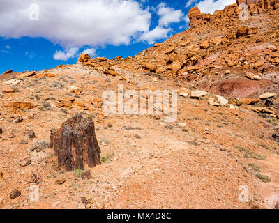 Aufrechte versteinertes Holz Baumstumpf in Wolverine Petrified Forest, Wolverine Creek Trail im Grand Staircase-Escalante National Monument in Utah. Stockfoto