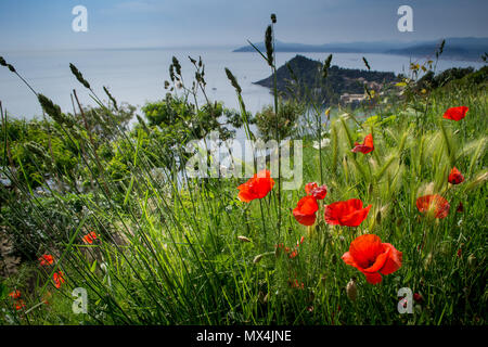 SESTRI LEVANTE, Genua, Italien - Blick auf das Vorgebirge von Portofino und der Halbinsel von Sestri Levante, aus dem Weg zu Punta Manara, von Stockfoto