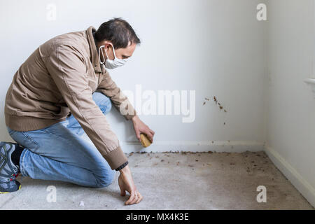 Junge Mann in der Maske sitzen geduckt durch die Wand Teppichboden Bodenbeläge, weiß gestrichene Wände, während Umbau Renovierung, Reinigung, Prüfung der Richtl Stockfoto