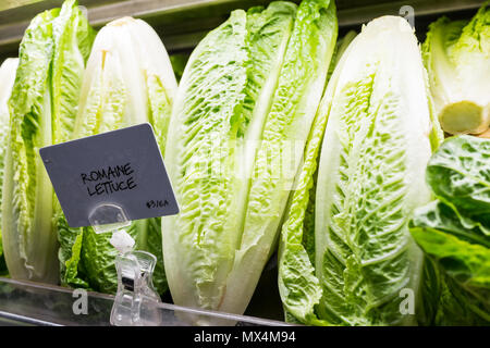 Nahaufnahme von frischen, rohen, teure grün Römersalat Köpfe im Supermarkt Lebensmittelmarkt store Display mit Vorzeichen, Preis pro Stockfoto