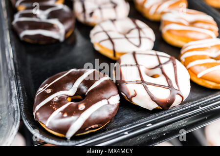 Schokolade braune und weiße Zuckerglasur Donuts mit Löchern closeup auf Bäckerei Fach, frittierter Vanille, lecker lecker Stockfoto