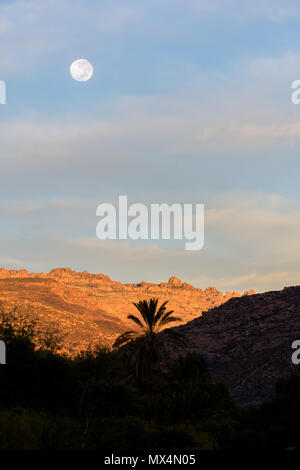 Abnehmende Mond bei Sonnenaufgang über den Cederberg Mountains in Südafrika Stockfoto