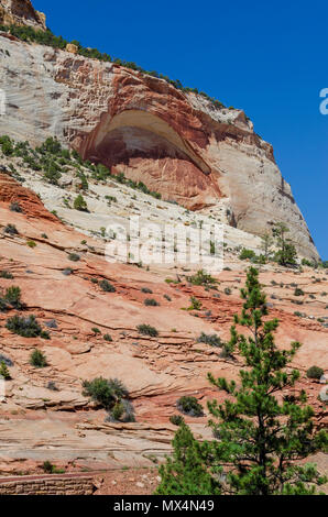 Arch Umformen in Canyon Wand weiß und orange Sandstein unter strahlend blauen Himmel. Stockfoto