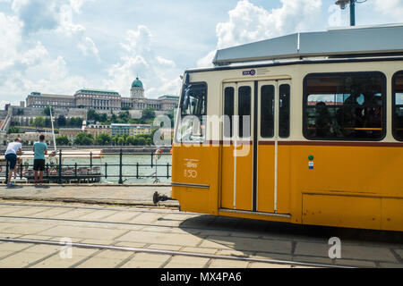 Straßenbahn in Budapest mit der Donau. Die Budaer Burg aka aka Royal Palace Royal Castle können auf der Buda Seite des Flusses gesehen werden. Stockfoto