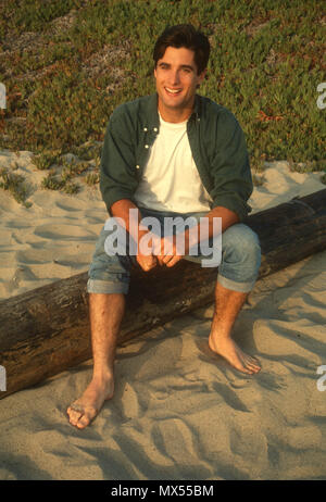 MALIBU, CA - 24. Juli: (exklusiv) Schauspieler John haymes Newton stellt beim Fototermin am 24. Juli in Malibu, Kalifornien 1991. Foto von Barry King/Alamy Stock Foto Stockfoto
