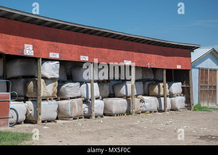 Bundles aus Vlies warten gewaschen und verarbeitet werden. Benutzerdefinierte Woollen Mills, Carstairs, Alberta. Stockfoto