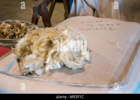 Fleece warten an benutzerdefinierte Woollen Mills, Carstairs, Alberta gewaschen und verarbeitet werden. Stockfoto