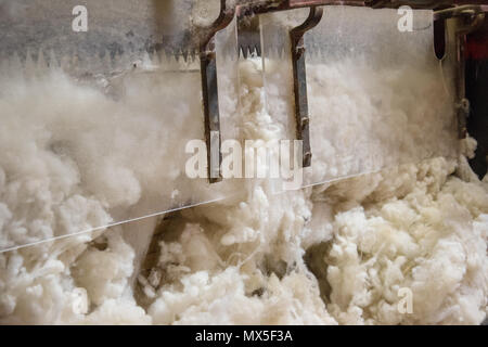 Wolle kardieren; Bürsten von Wolle mit Draht Zähne die Fasern auszurichten. Benutzerdefinierte Woollen Mills, Carstairs, Alberta. Stockfoto