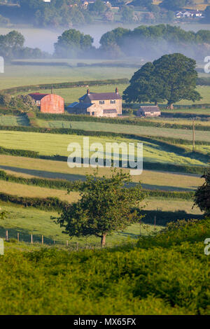 North Wales, Juni 2018, UK Wetter: Warm Start in den Tag in North Wales mit Taschen von low level Nebel in den Bereichen. Ein Waliser Bauernhaus, umgeben von üppiger Landschaft als Nebel beginnt in der Ferne zu brennen, in der Nähe vom Dorf Rhes-y-Cae, Flintshire Stockfoto