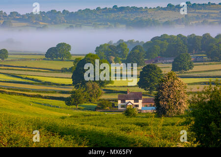 North Wales, Juni 2018, UK Wetter: Warm Start in den Tag in North Wales mit Taschen von low level Nebel in den Bereichen. Ein Waliser Bauernhaus, umgeben von üppiger Landschaft als Nebel beginnt in der Ferne zu brennen, in der Nähe vom Dorf Rhes-y-Cae, Flintshire Stockfoto