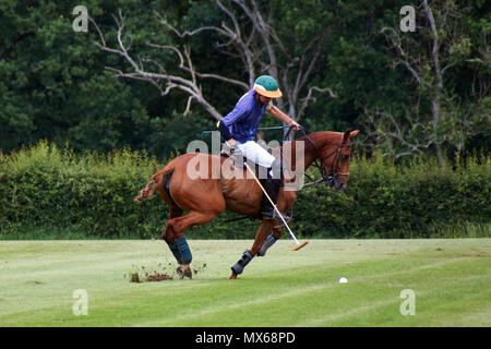 Burningfold, UK, 2. Juni, 2018. Eröffnungs Kylin Polo Match am Kylin Home Boden. Credit: Calvin Tan/Alamy leben Nachrichten Stockfoto