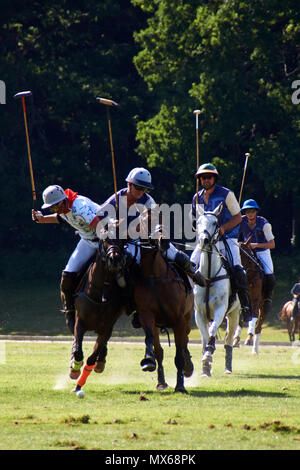 Burningfold, UK, 2. Juni, 2018. Eröffnungs Kylin Polo Match am Kylin Home Boden. Credit: Calvin Tan/Alamy leben Nachrichten Stockfoto