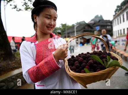 Rongjiang, Chinas Provinz Guizhou. 3. Juni 2018. Eine Frau stellt waxberries während des waxberry Festival in Gaowen Miao ethnischen Dorf in Rongjiang County, im Südwesten Chinas Provinz Guizhou, 3. Juni 2018. Eine waxberry Festival war in Rongjiang am Sonntag statt. Credit: Wang Bingzhen/Xinhua/Alamy leben Nachrichten Stockfoto