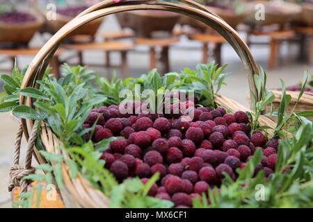 Rongjiang, Chinas Provinz Guizhou. 3. Juni 2018. Foto zeigt die frische waxberries in Gaowen Miao ethnischen Dorf in Rongjiang County, im Südwesten Chinas Provinz Guizhou, 3. Juni 2018. Eine waxberry Festival war in Rongjiang am Sonntag statt. Credit: Huang Wanxin/Xinhua/Alamy leben Nachrichten Stockfoto