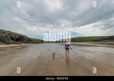 Polly Witz Beach, Cornwall, UK. 3. Juni 2018. UK Wetter. Wolken bedroht Regen am Nachmittag auf dem Polly Witz Strand, in der Nähe von Crantock, aber bald gelöscht, ein sonniger Nachmittag an der Küste von North Cornwall zu verlassen. Hier pug Titan und Eigentümer Wendy. Foto: Simon Maycock/Alamy leben Nachrichten Stockfoto