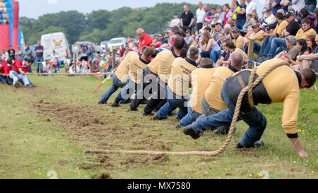 Cornhill, Schottland - 02 Jun 2018: Tauziehen bei den Highland Games in Cornhill, Schottland. Stockfoto