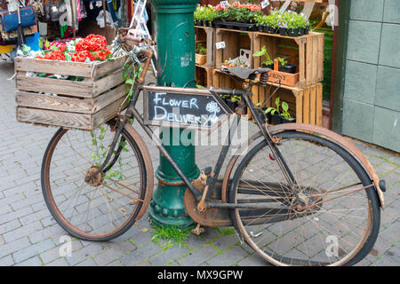 Ein altes altmodische "Handel" Fahrrad früher für Lieferungen jetzt Förderung Creme und braun Florist in Middlesbrough Stockfoto