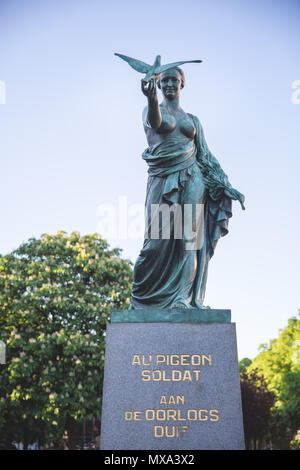 Denkmal der Taube Soldat (Monument au Pigeon-Soldat) in Brüssel, Belgien Stockfoto