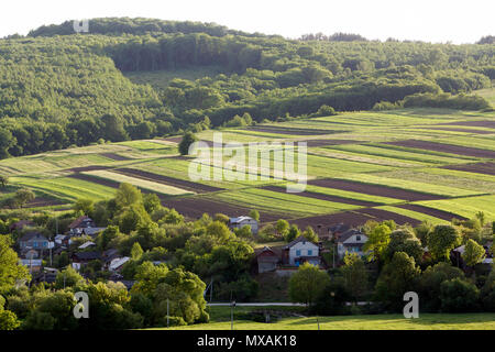 Antenne weiten ländlichen Frühling Panorama der bunte rechteckige gepflügt und grüne Felder leuchten von Sun durch dichten Wald und Dorf Hütten zwischen o umgeben Stockfoto