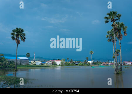 Kleinen Teich und Palmen wachsen. Stadt Kampot, Kambodscha Stockfoto