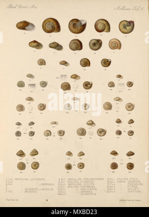 . Español: Eduard von Marten 1890-1901: biologia Centrali - Amerika Land- und Süßwasser Mollusca (Lamellen de Libro). Zwischen 1890 und 1901. Eduard von Marten (1831-1904) 179 Eduard von Marten 1890-1901 747 Stockfoto