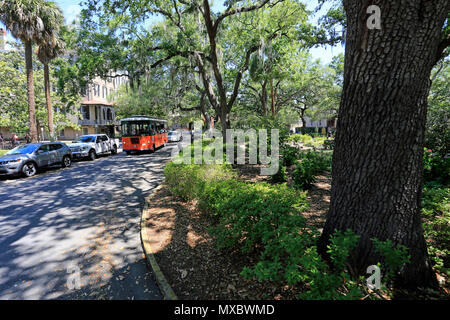 Altstadt Trolley car Tour in der Stadt Savannah, Georgia, USA Stockfoto