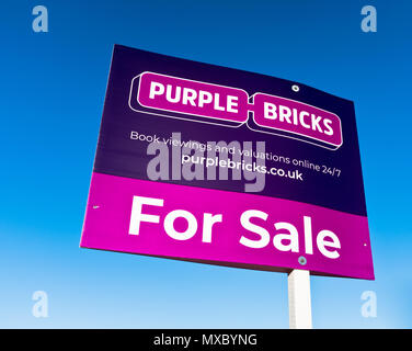 dh Immobilien zum Verkauf GEHÄUSE UK Market Purple Steine Gehäuse Zeichen Verkauf von Immobilien Logo Immobilienmakler Haus Agentur Zeichen Stockfoto