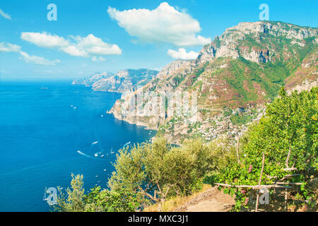 Ausblick auf den kleinen Bauernhof mit Olivenbäumen, reife Trauben und Mandarinen von Meer und Bergen, umgeben von Positano, Amalfiküste, Italien Stockfoto