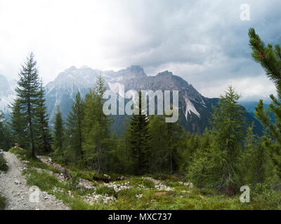 Blick von der Spitze des Berges auf einer wunderschönen Landschaft der Dolomiten Berge und eine gree Nadelwald in Front in Regen Wetter. Südtirol, Ita Stockfoto