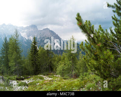 Blick von der Spitze des Berges auf einer wunderschönen Landschaft der Dolomiten Berge und eine gree Nadelwald in Front in Regen Wetter. Südtirol, Italien, Alp. Auf Action Kamera eingefangen. Stockfoto