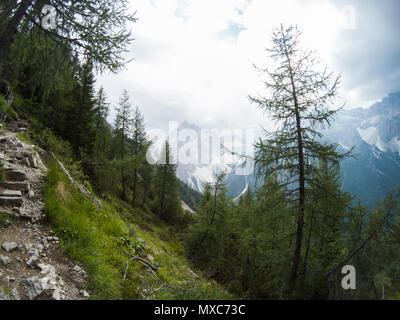 Blick von der Spitze des Berges auf einer wunderschönen Landschaft der Dolomiten Berge und eine gree Nadelwald in Front in Regen Wetter. Südtirol, Italien, Alp. Auf Action Kamera eingefangen. Stockfoto