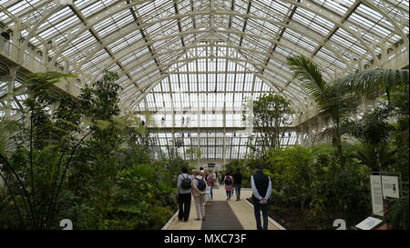 Die Gemäßigten Haus in Kew Botanical Gardens in London, Großbritannien Stockfoto