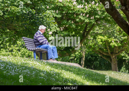 Ein Mann, der allein sitzen auf einem Woodland Sitzbank Stockfoto