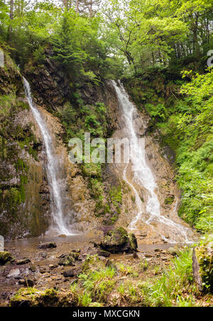 Die Grey Mare Schwanz Wasserfall (Rhaeadr y-Parc Mawr) Twin Falls in Gwydyr Forest Park in Snowdonia National Park. Trefriw, North Wales, UK, Großbritannien Stockfoto