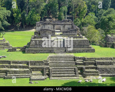 Alten Maya archäologische Stätte namens Caracol in Belize in Mittelamerika entfernt Stockfoto