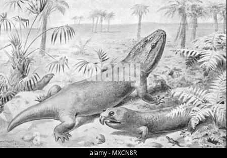 . Mastodonsaurus und Rhynchosauria. 1894. Joseph Smit (1836-1929), von Kreaturen von anderen Tagen, 1894 England 406 Mastodonsaurus Stockfoto