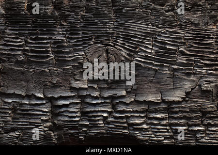 Texturierte verkohltem Holz. Stockfoto