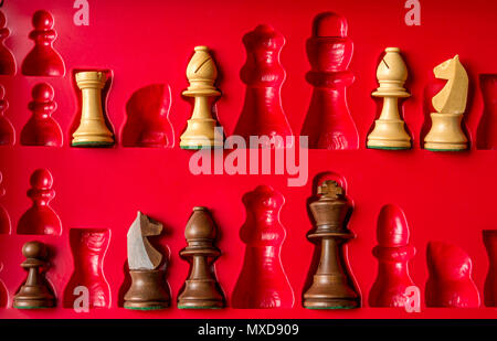 Schachfiguren ordentlich in einer Box Stockfoto