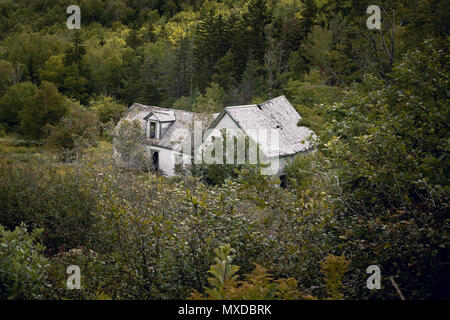 Verfallenes Haus in New Brunswick, Kanada. Diese Herrenlosen wird durch den Wald zurück. Hohes Ansehen. Stockfoto