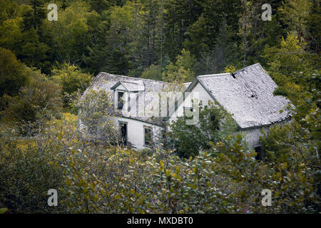 Verfallenes Haus in New Brunswick, Kanada. Diese Herrenlosen wird durch den Wald zurück. Hohes Ansehen. Stockfoto