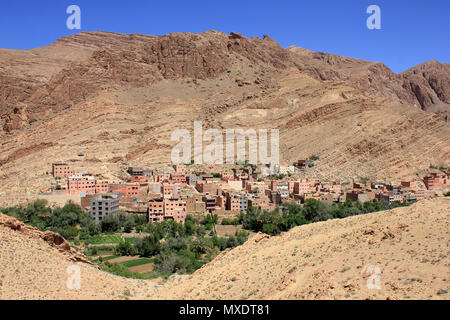 Tinerhir (Blue Mountains), Todra Schlucht Tal, Marokko Stockfoto