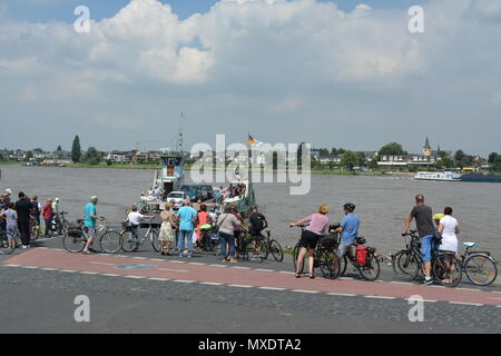 Rhein in der Nähe von Mondorf Stockfoto