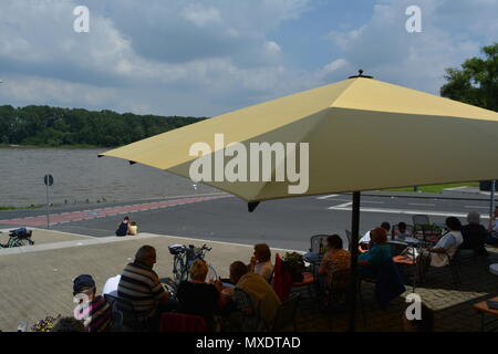 Rhein in der Nähe von Mondorf Stockfoto