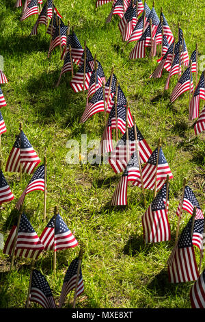 Flaggen am Memorial Day, New York City, USA Stockfoto