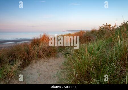 Mit Blick auf das Meer und ein Gras bedeckt Sanddüne bei Sonnenaufgang Stockfoto