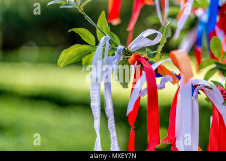 Ein Wunsch Baum. Die Bänder in verschiedenen Farben sind in den Branchen gebunden. Jedes Farbband bedeutet verschiedene Wünsche. Stockfoto