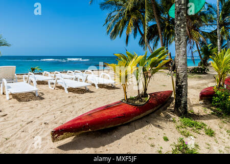 Starfish Beach Panama. Stockfoto