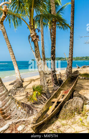 Starfish Beach Panama. Stockfoto